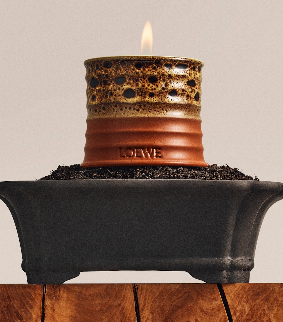 Small Mimosa Scented Candle NO COLOUR Image 4