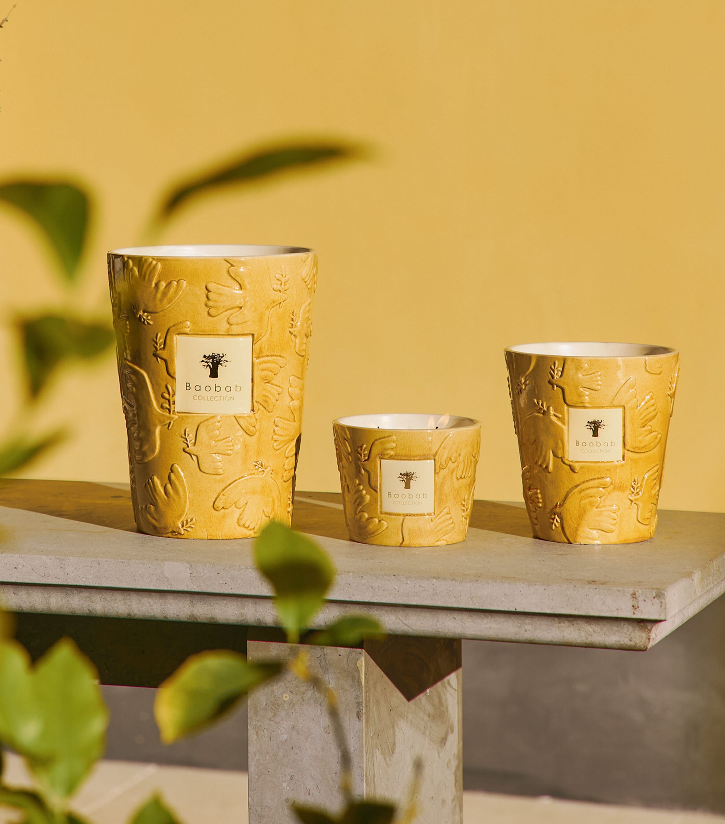 Baobab Collection Dove Scented Candle (190g) Yellow Image 4