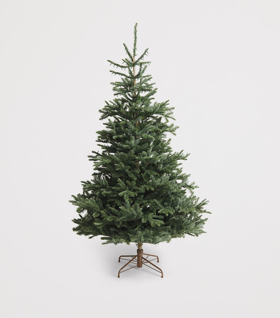 BALSAM HILL Nordmann Fir Ultra Bright Tree (7ft) Green Image 2