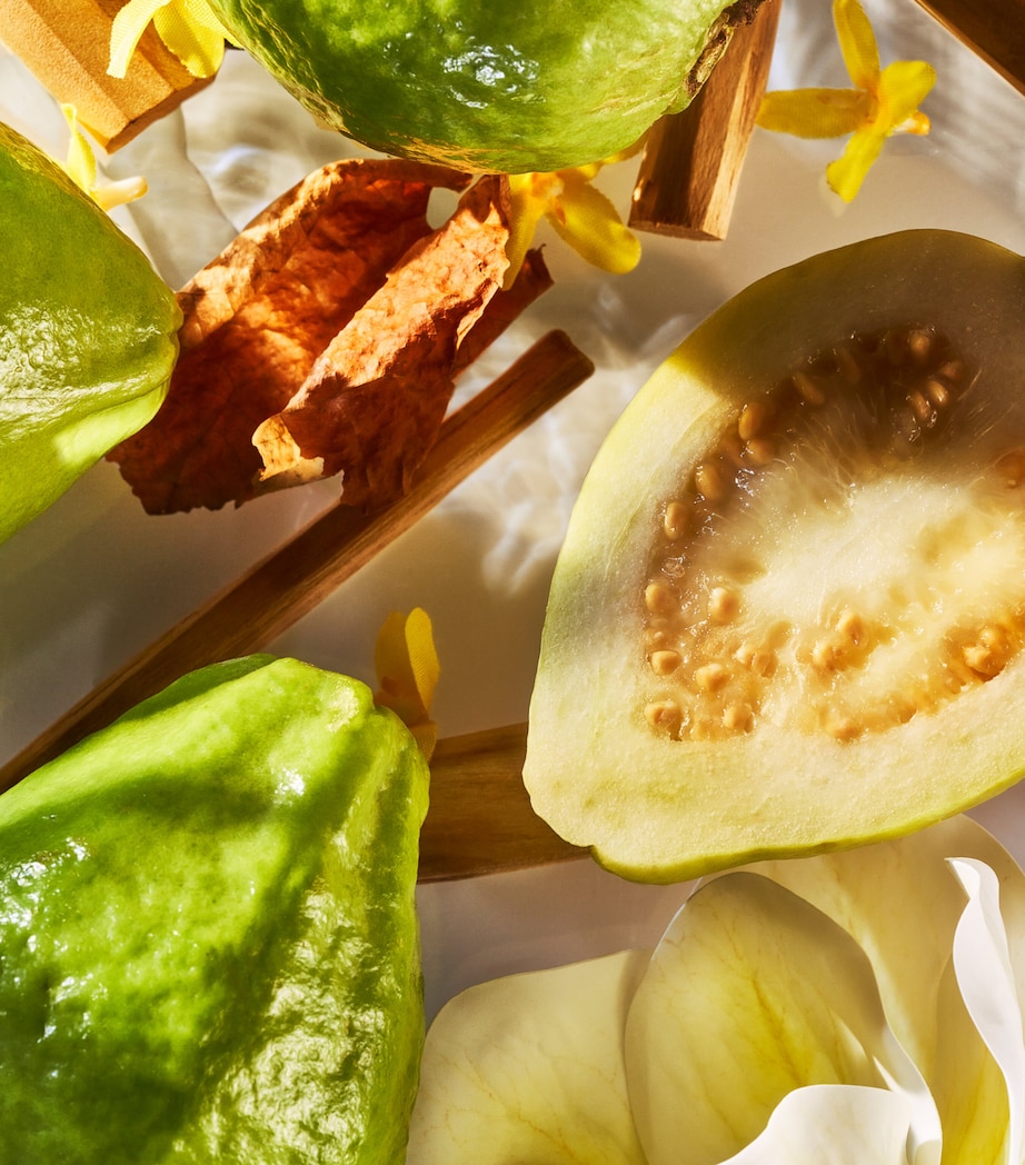 Isola Verde Pure Perfume (50ml) NO COLOUR Image 2