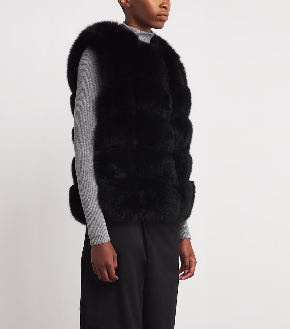 Fox Fur Gilet C99 Image 3