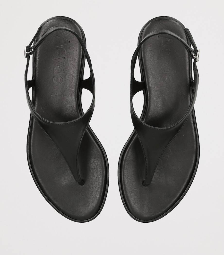 aeyde Leather Raine Sandals Black Image 3