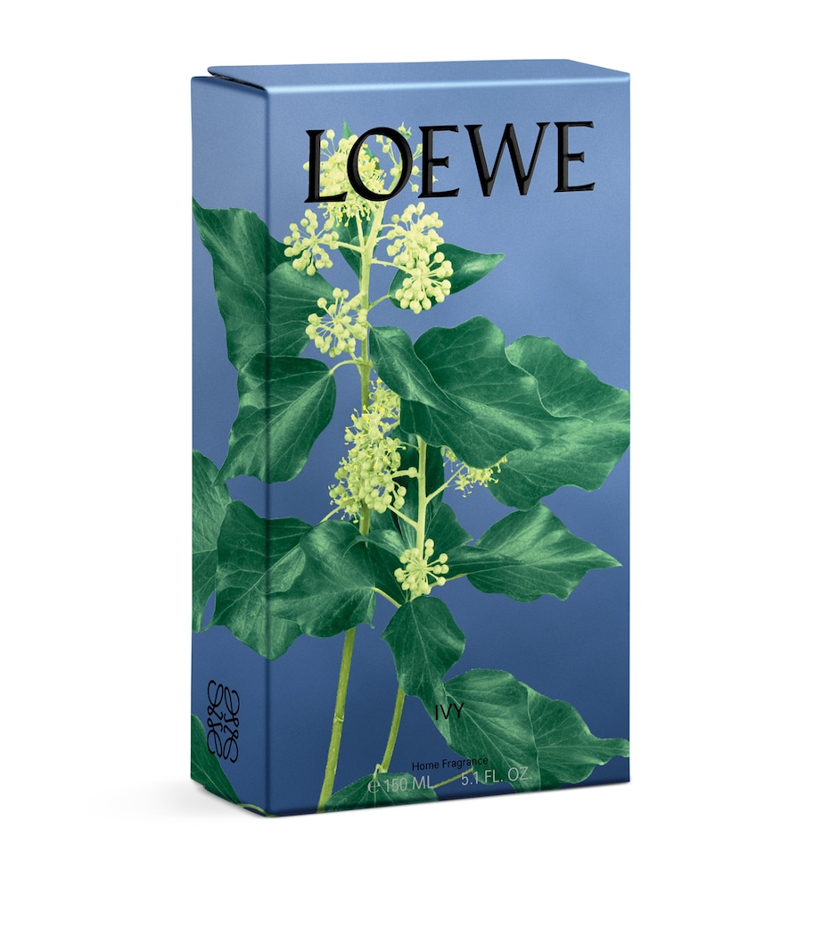 Ivy Room Spray (150ml) NO COLOUR Image 6