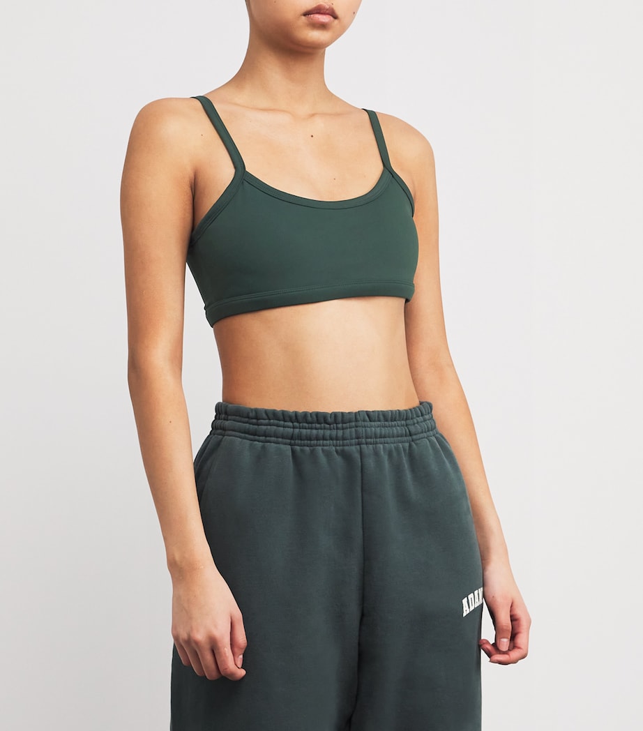 Ultimate Scoop Sports Bra PINE GREEN Image 3