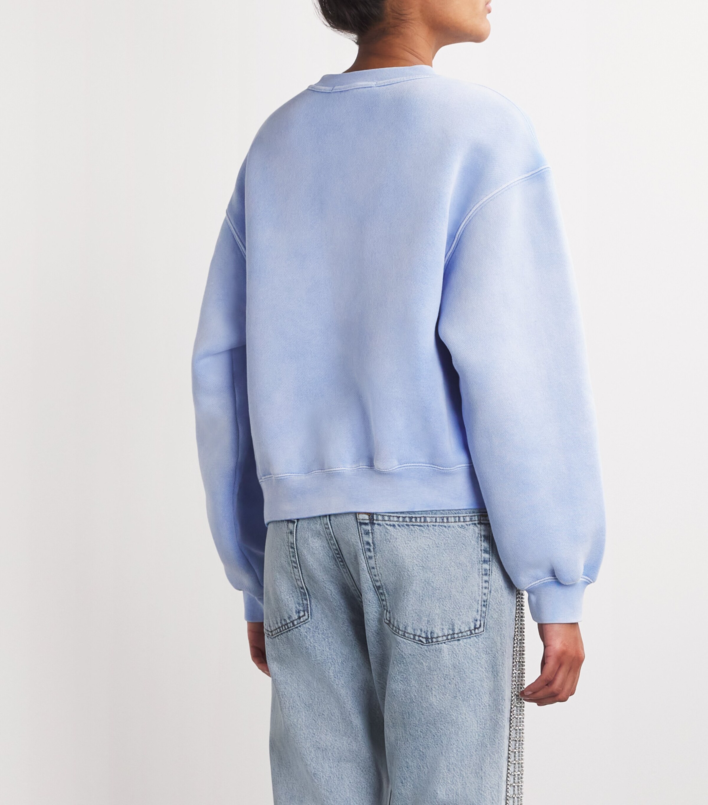 Puff Print Terry Sweatshirt WASHED PALE BLUE Image 4