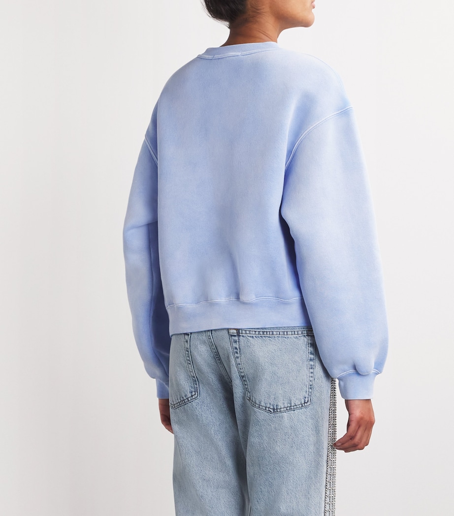 Puff Print Terry Sweatshirt WASHED PALE BLUE Image 4
