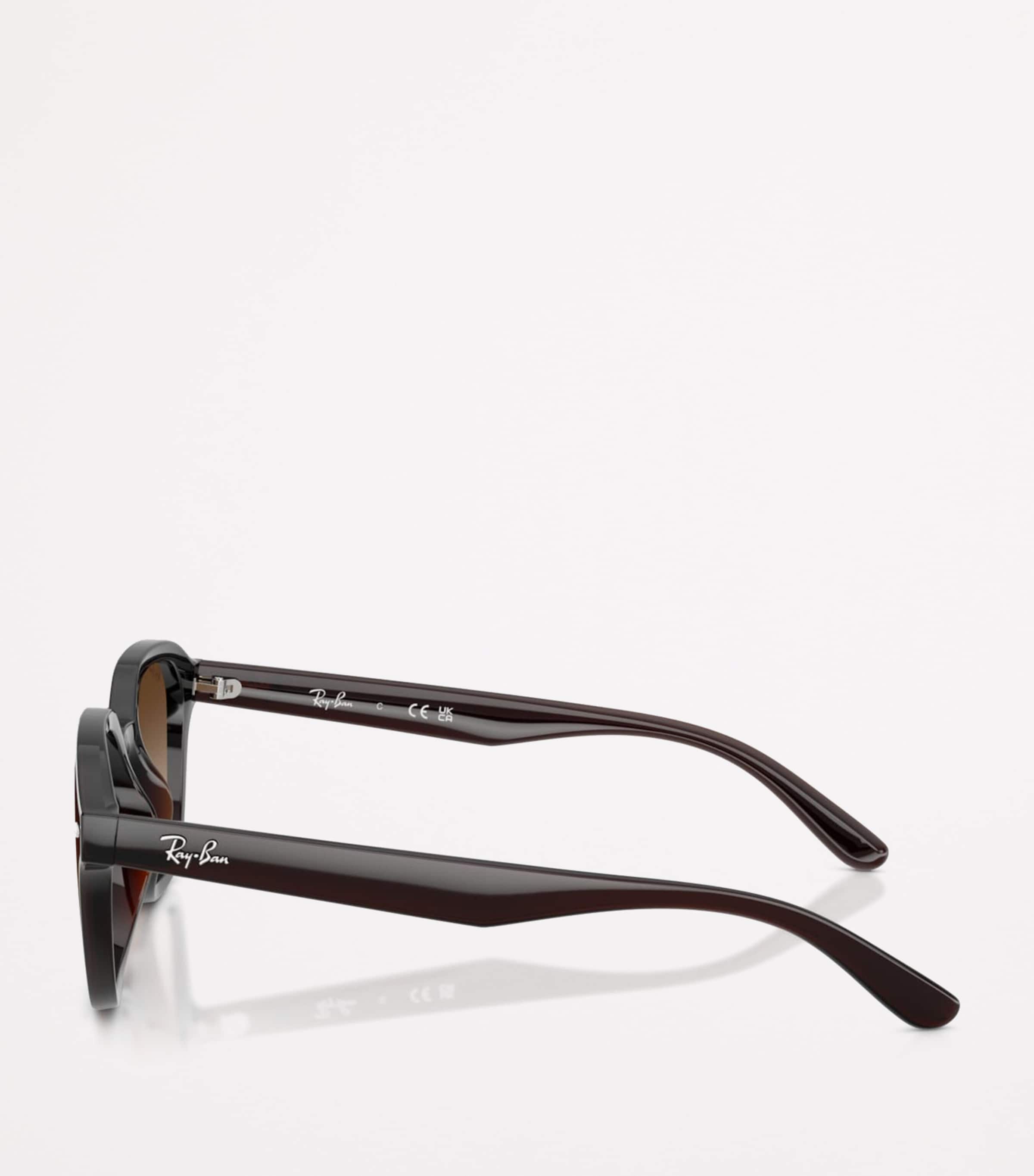 RB4458D Square Sunglasses 714/13 Image 3
