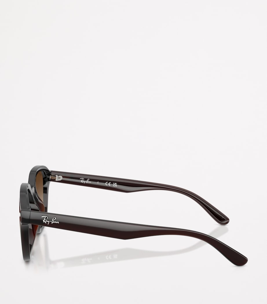 RB4458D Square Sunglasses 714/13 Image 3