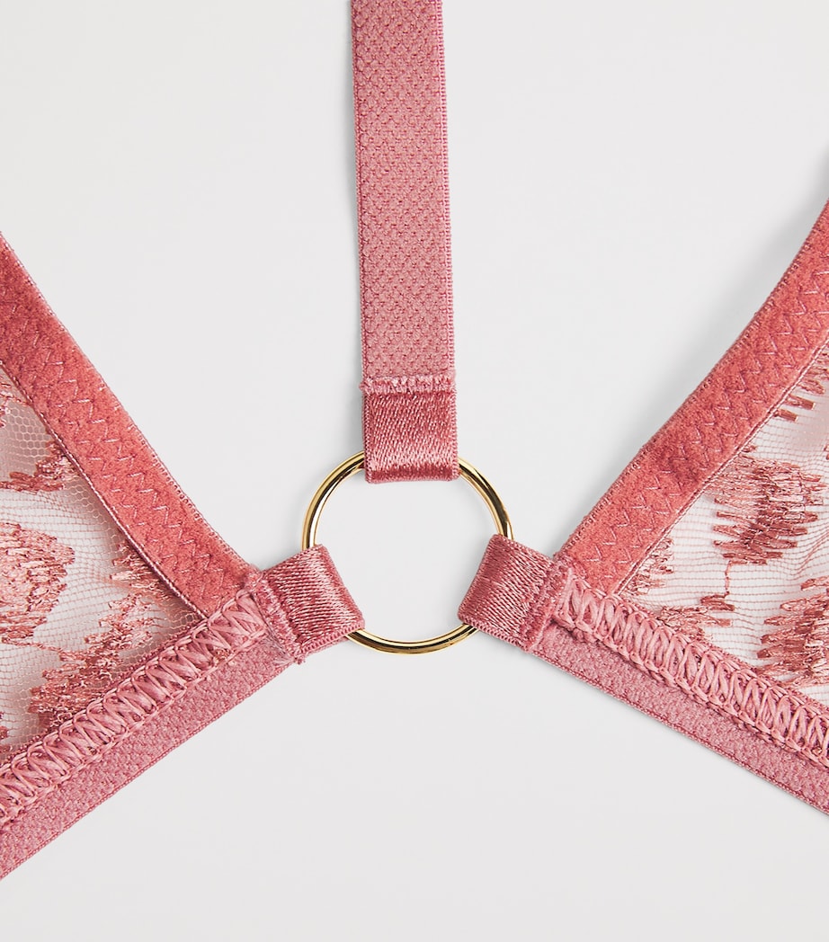 Crazy in Love Suspender Belt WARM PINK Image 4