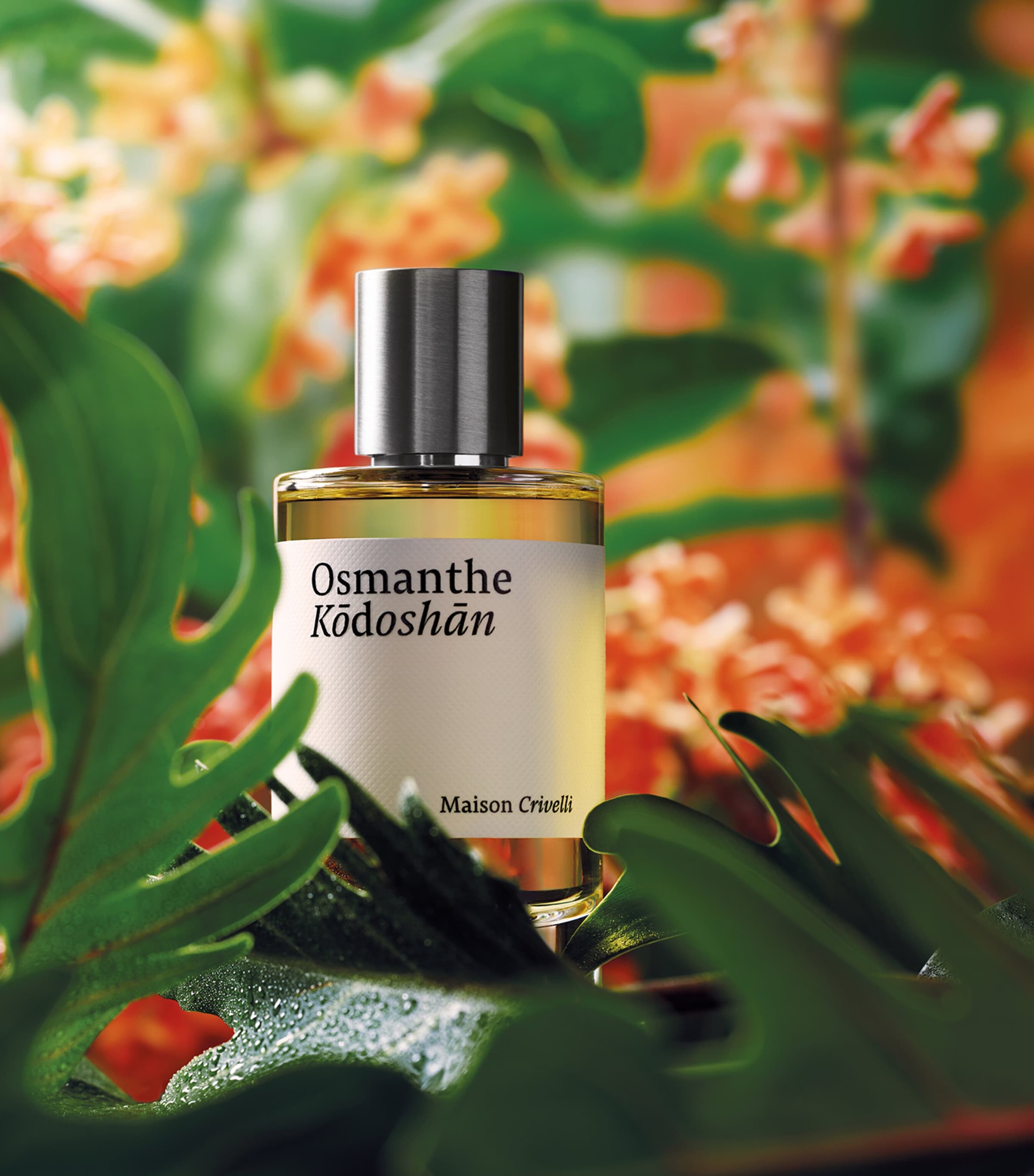 Osmanthe Kodo Eau de Parfum (30ml) NO COLOUR Image 3