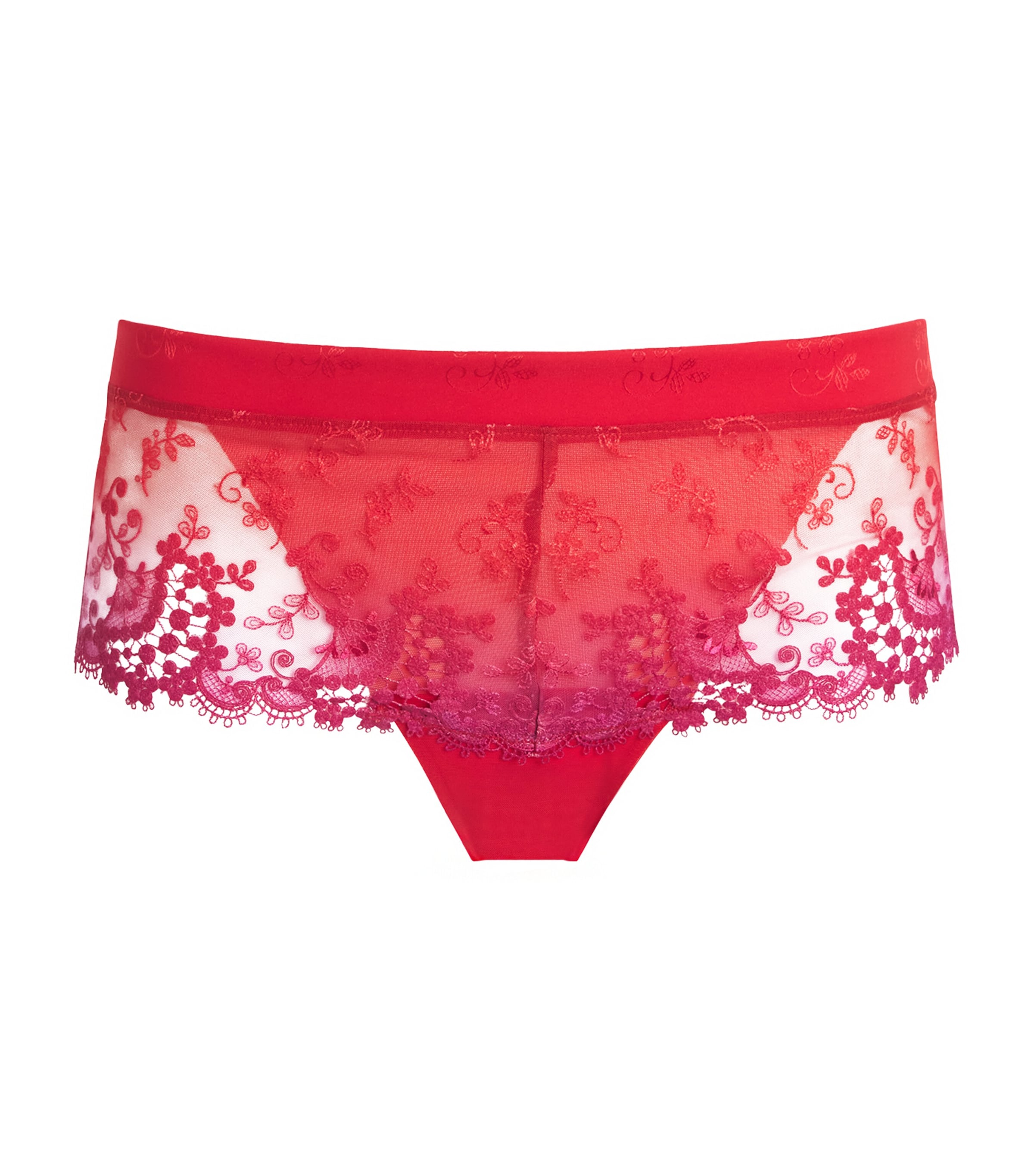 Lace Wish Briefs 160 RAINBOW RED Image 1