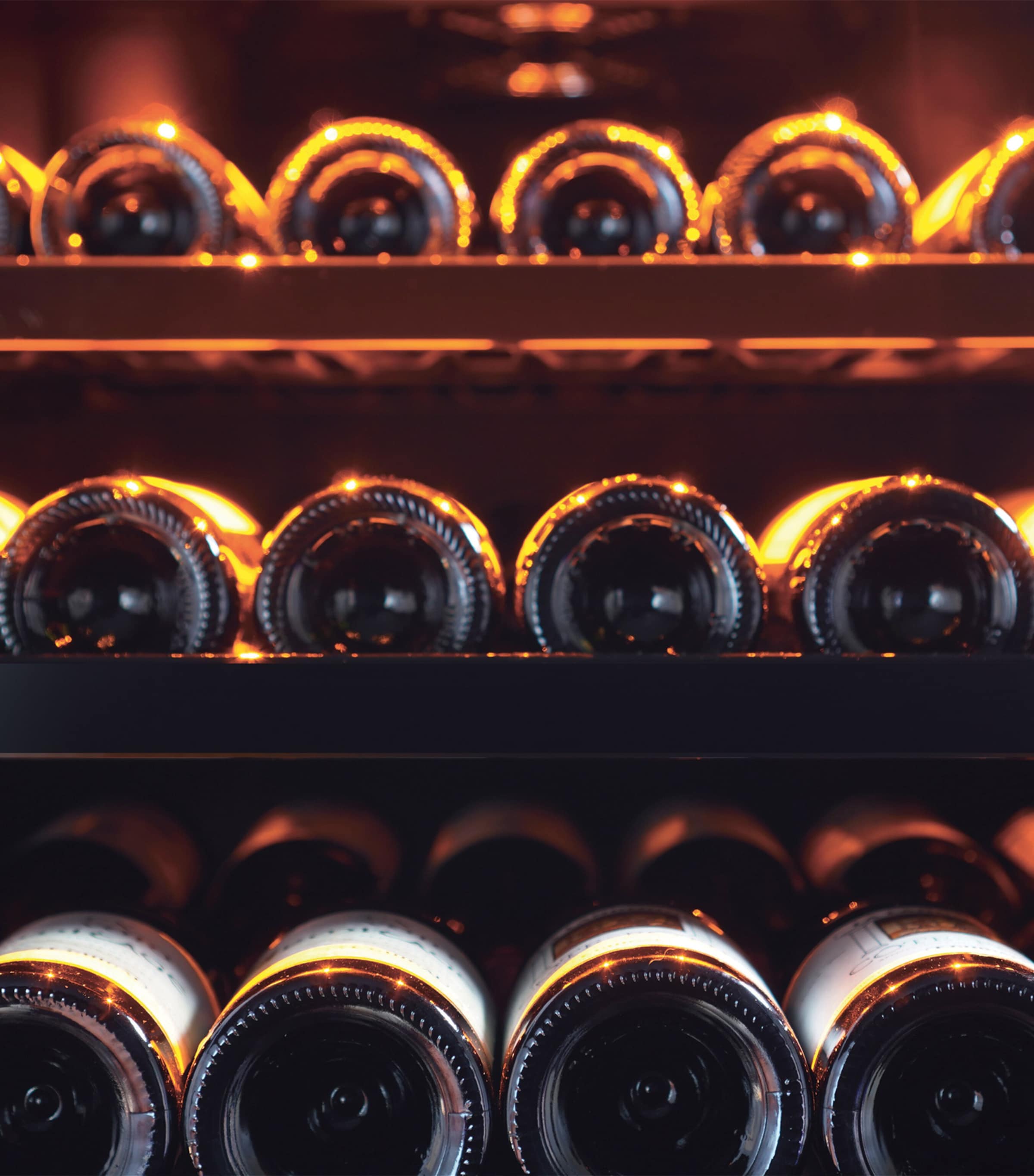 Large Single-Temperature Free-Standing Revelation Wine Cabinet NO COLOUR Image 5