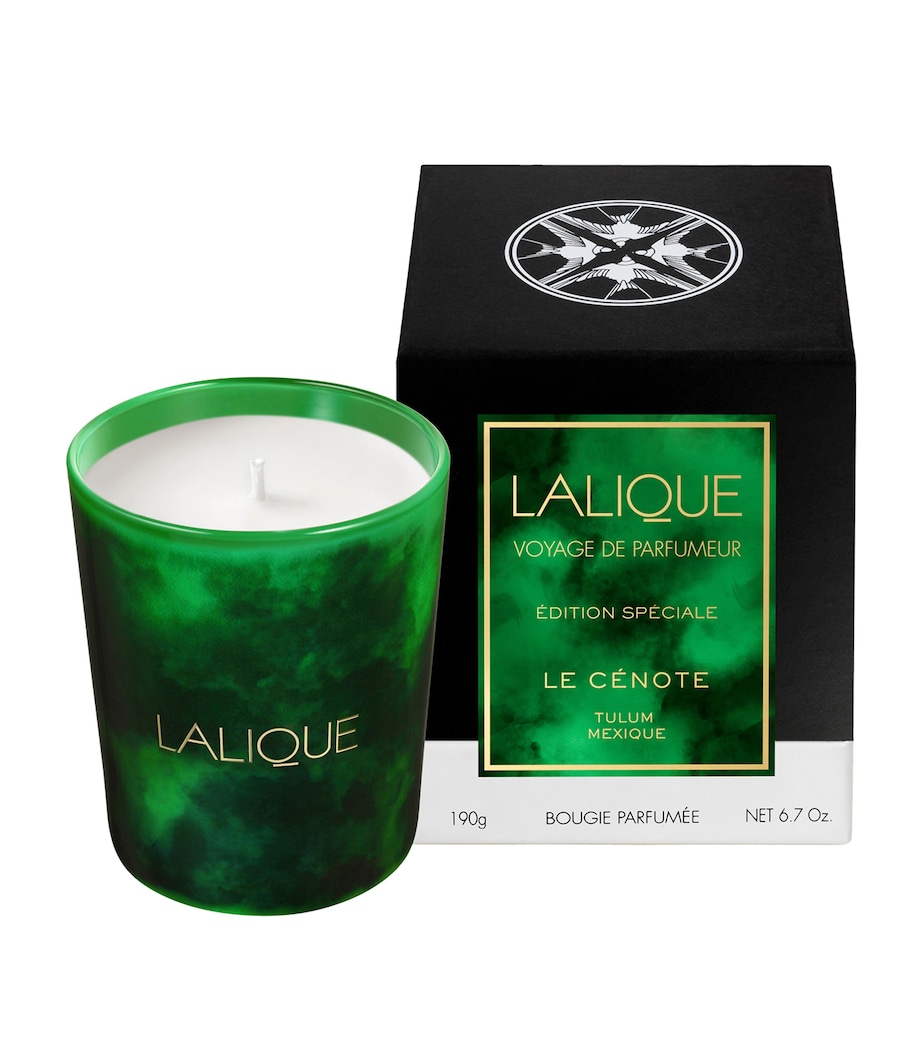 Le Cenote Voyage Scented Candle (190g) VERT Image 1