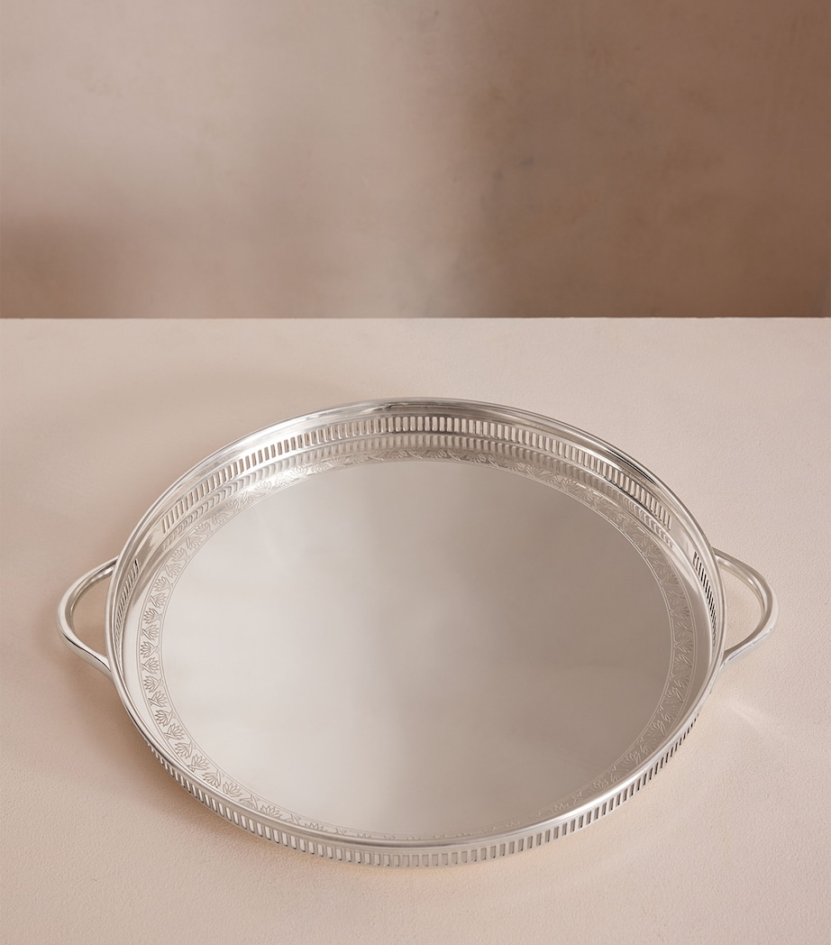 Silver- Plated Rochester Engraved Tray SILVER Image 4