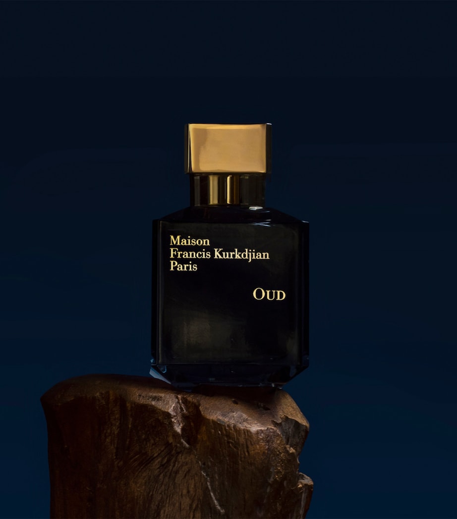 OUD Eau de Parfum (35ml) NO COLOUR Image 6