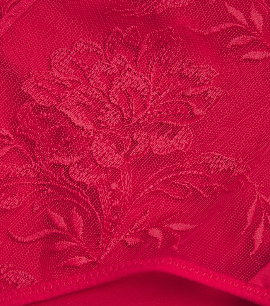 Romance Briefs 303 CRANBERRY Image 2