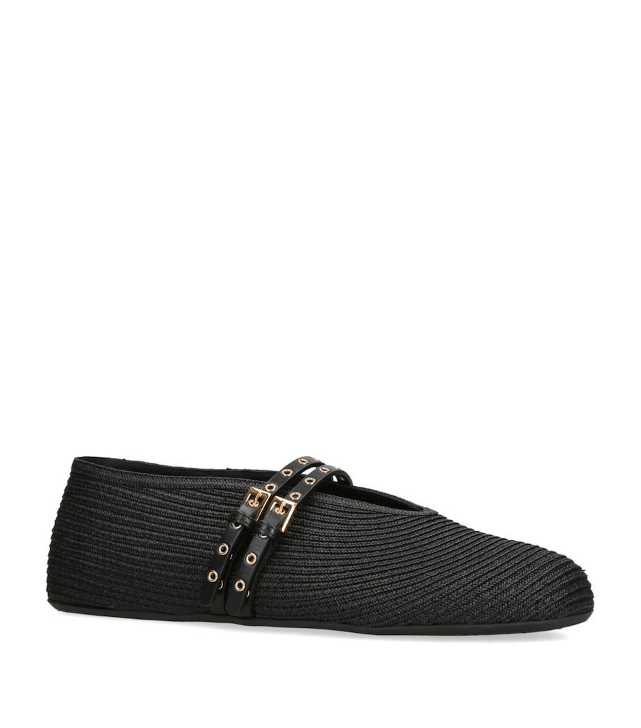 Raffia and Leather Ballet Flats BLACK Image 3