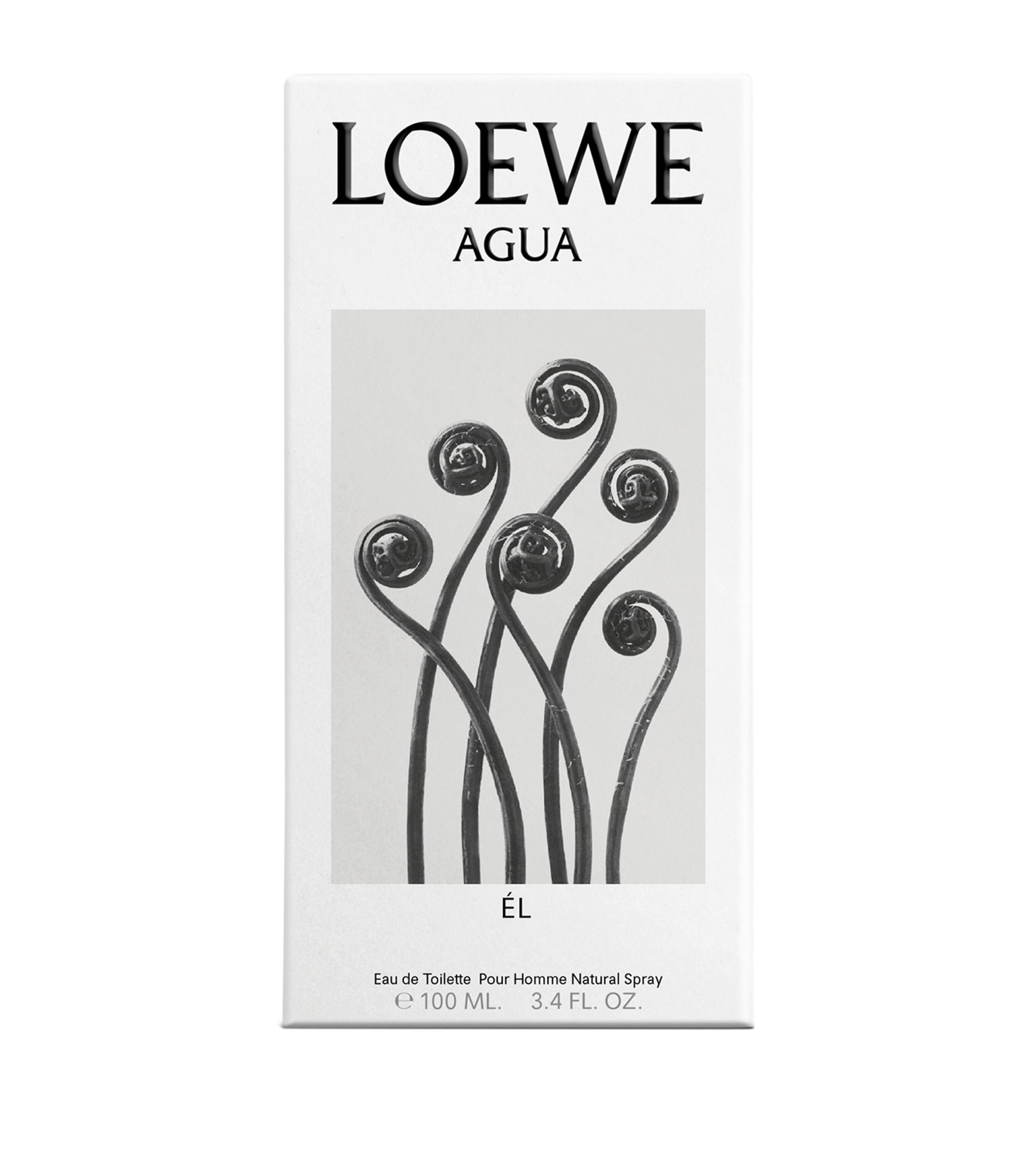 LOEWE Perfumes Agua Él Eau de Toilette (100Ml) Image 4