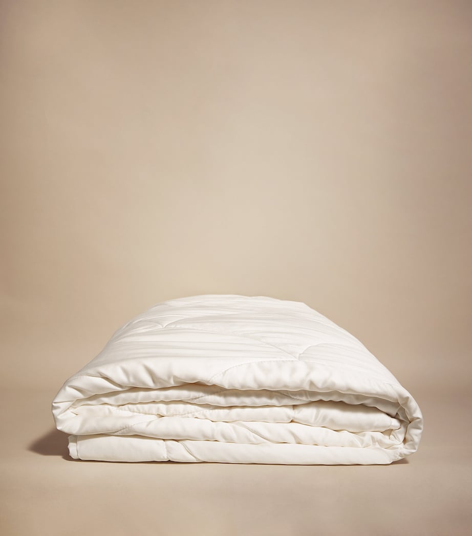 Emperor Pure Silk Duvet WHITE Image 1