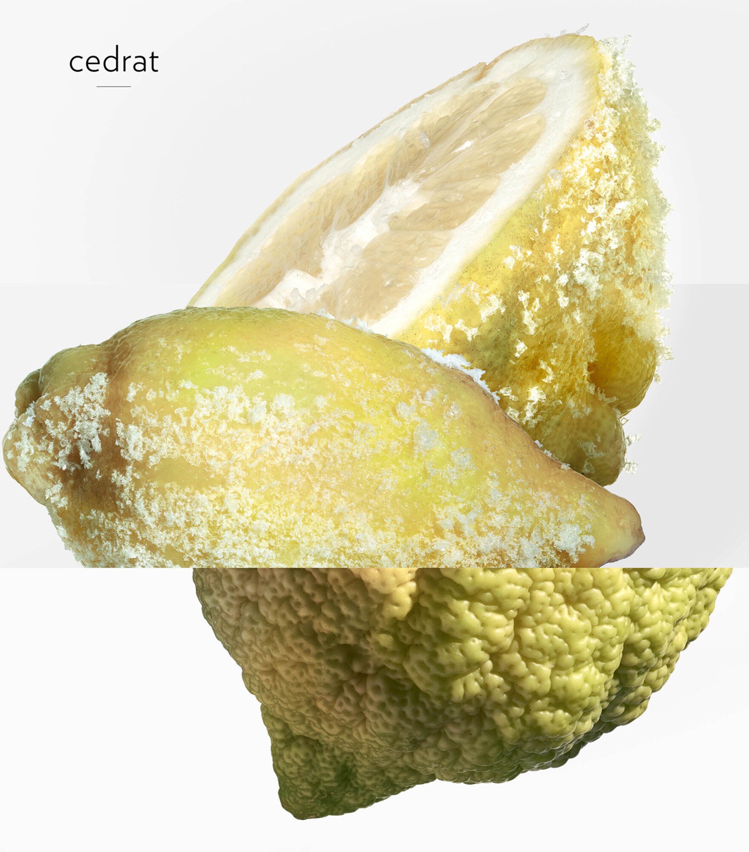 Terre d’Hermès Eau Givrée Eau de Parfum Refill (125ml) NO COLOUR Image 6