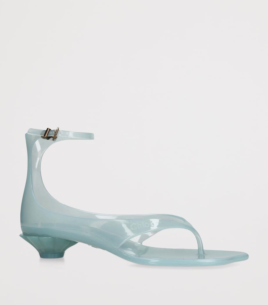 Chloé Jelly Heeled Sandals 25 Teal Image 3