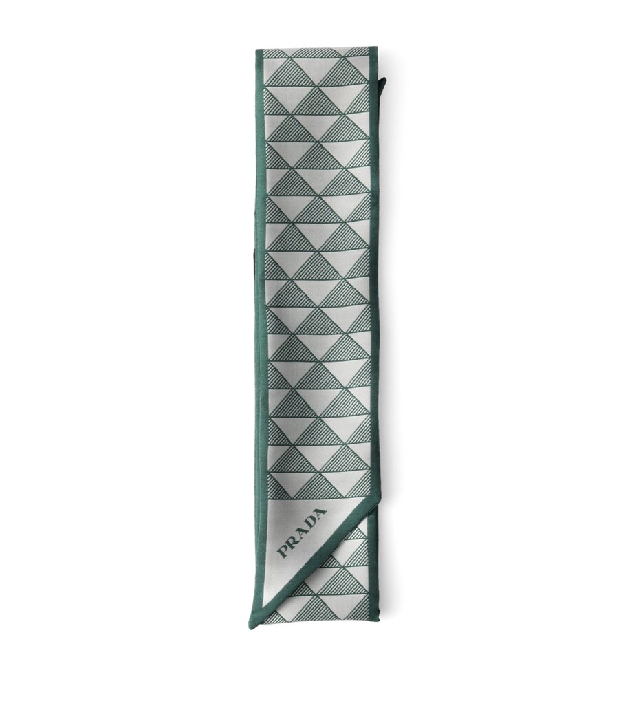 Silk Triangle Skinny Scarf F077U Image 1