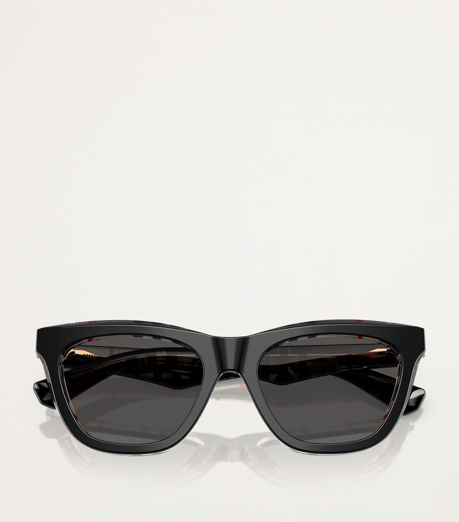 Acetate Wayfarer Sunglasses 412187 Image 5