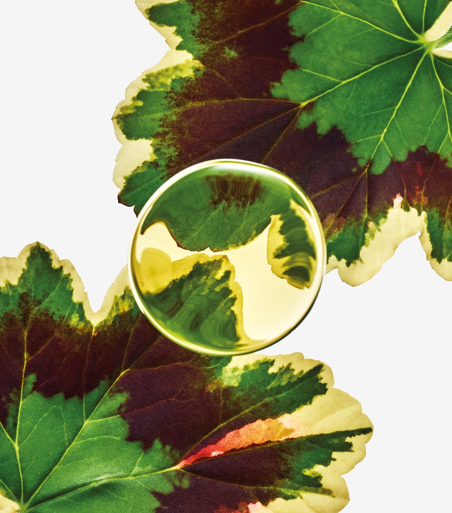 Esencia Elixir Eau de Parfum (100ml) NO COLOUR Image 3