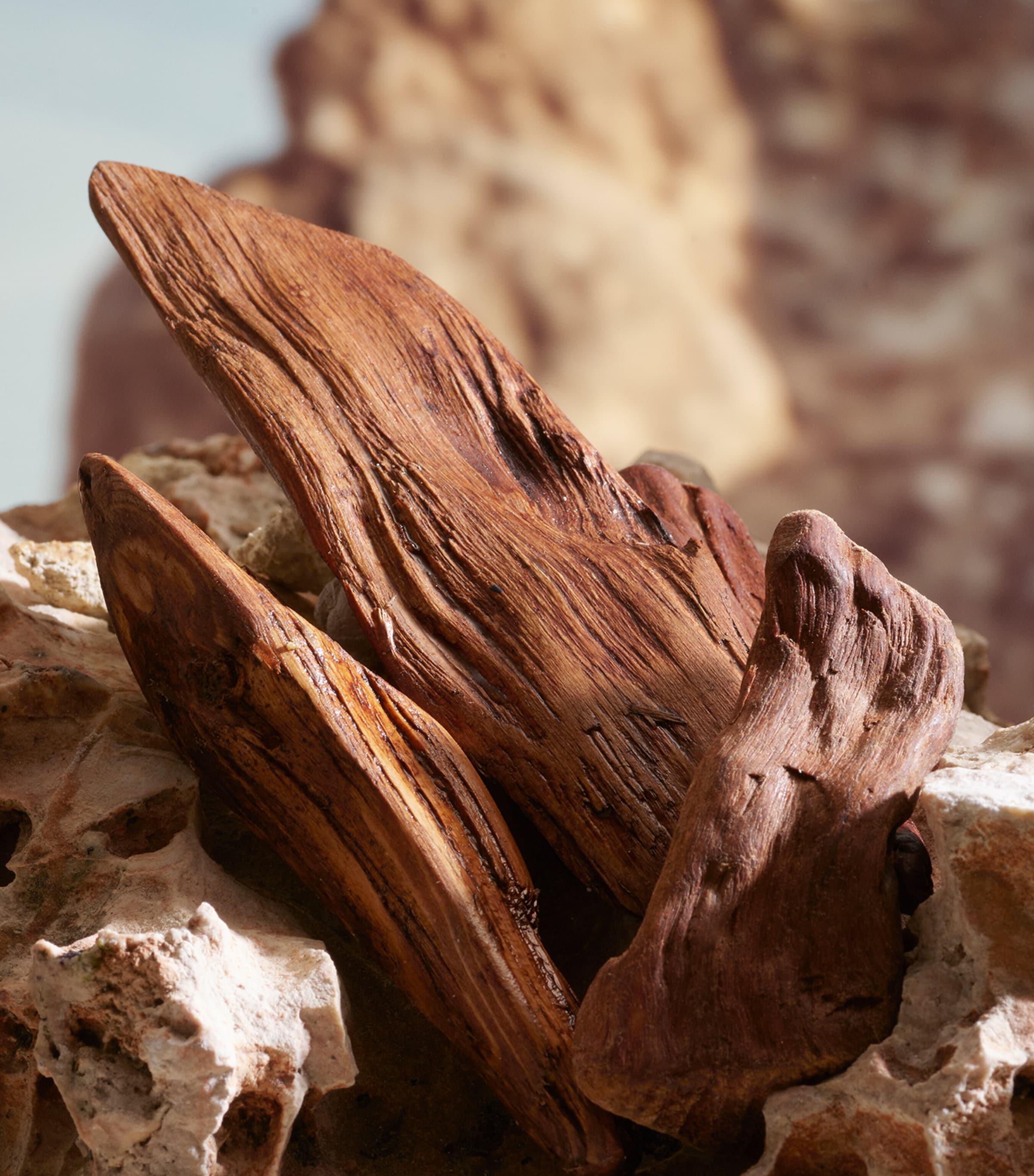 K Parfum (100ml) NO COLOUR Image 6