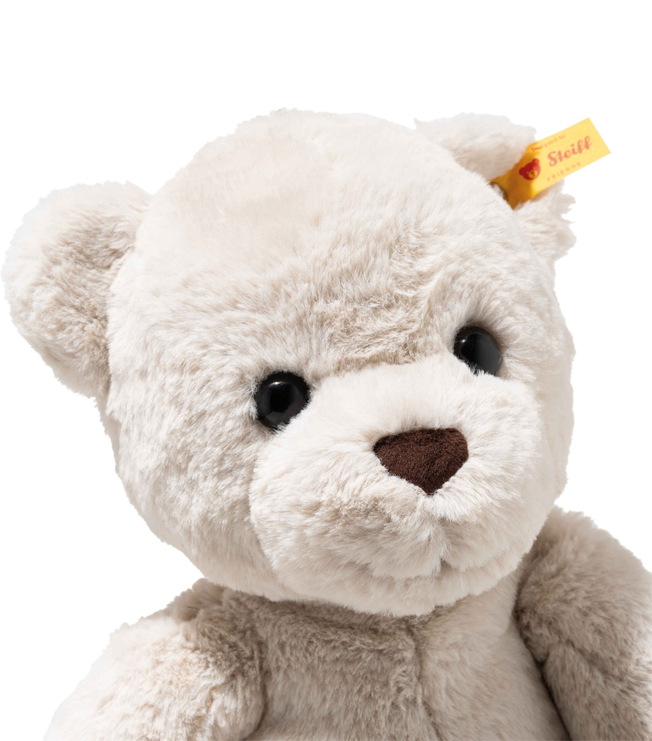 Robby Teddy Bear (42cm) MULTI Image 3