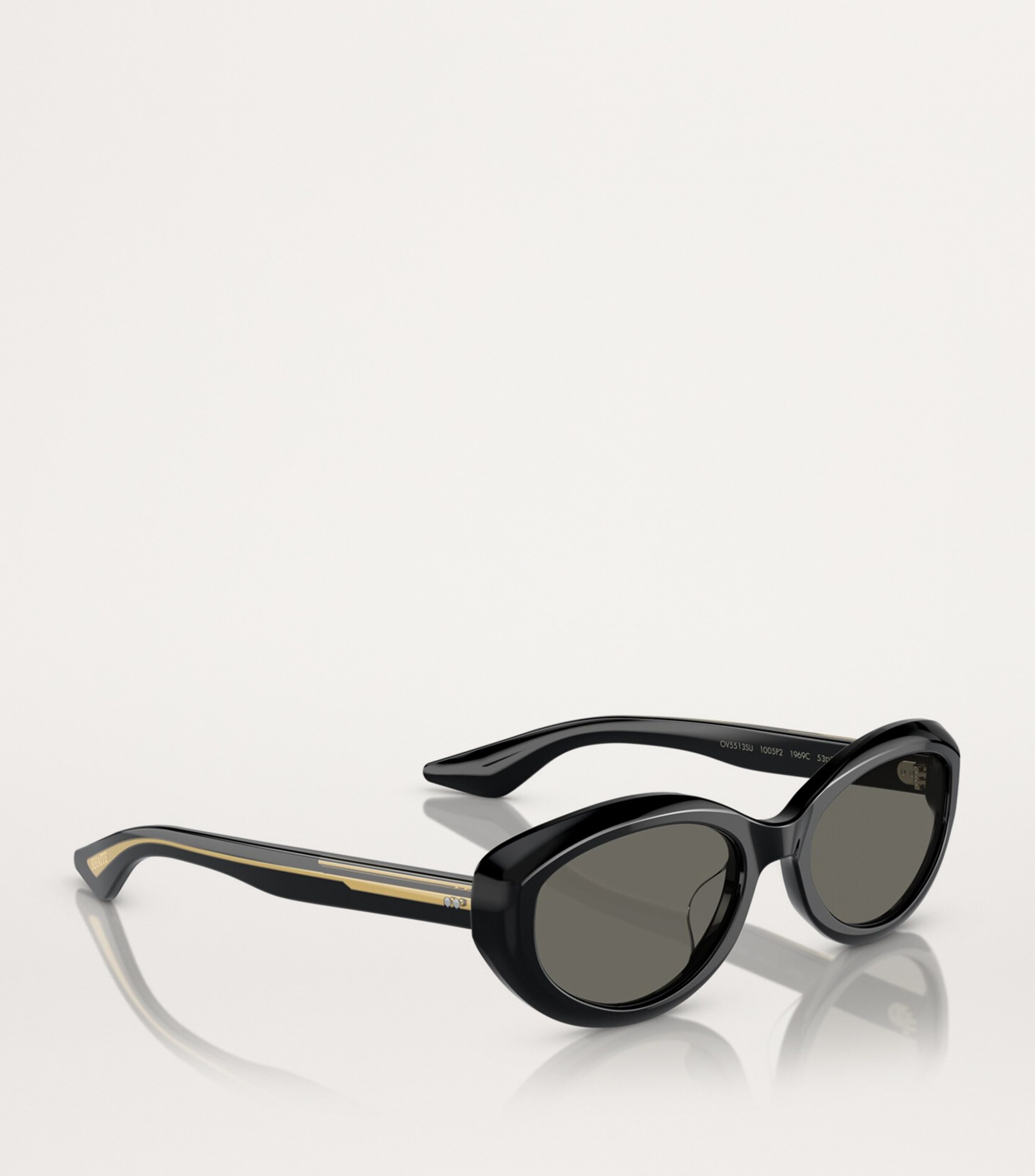Oliver Peoples Acetate 0OV5513SU Sunglasses Image 6