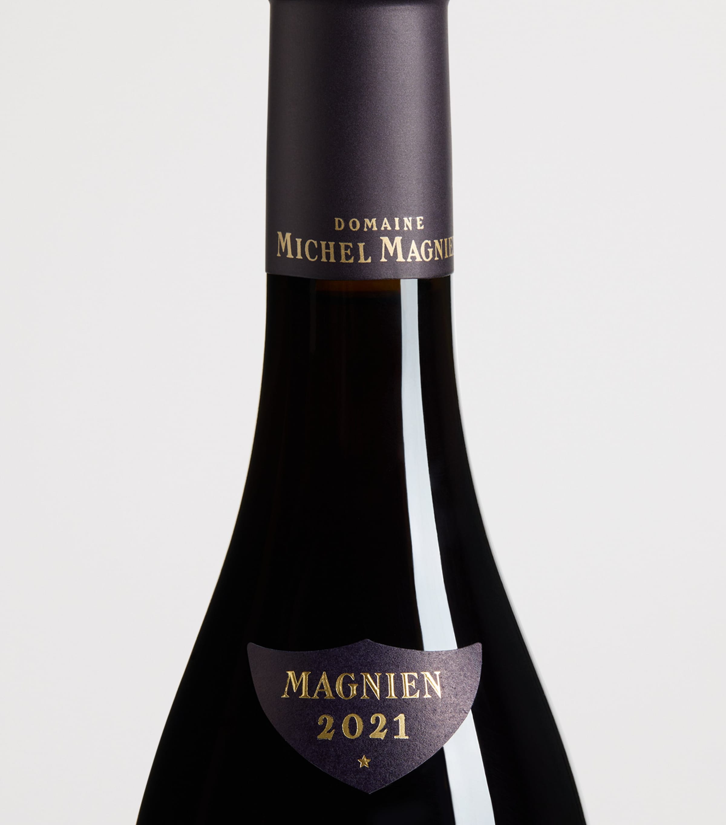 Domaine Michel Magnien Magnien Gevrey Chambertin Aux Echezeaux 2021 (75cl) - Burgundy, France Image 2