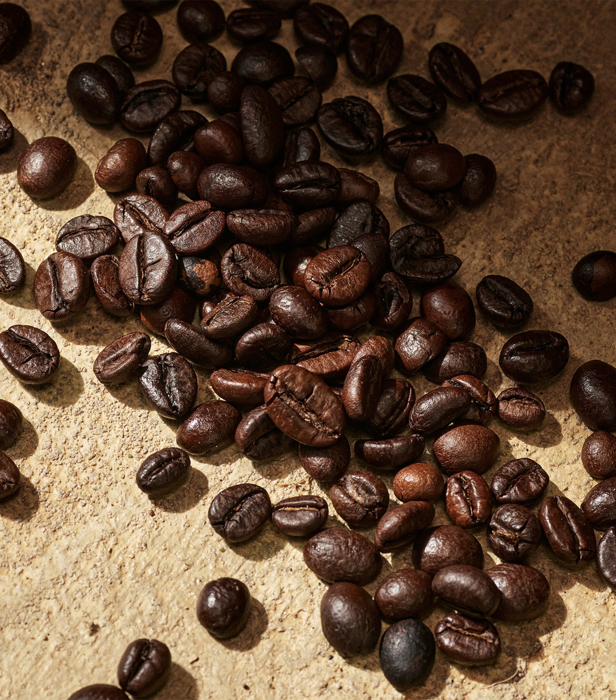 Devotion for Men Eau de Parfum (100ml) NO COLOUR Image 4