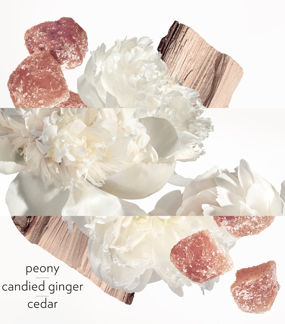 Twilly D'Hermès Ginger Eau de Parfum (85Ml) NO COLOUR Image 4