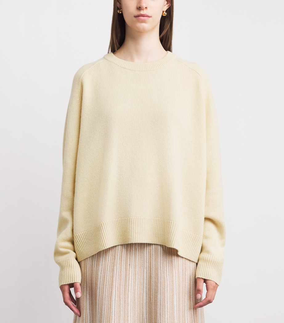 Soft Goat Womens Cashmere Boyfriend Sweater Waxed Paper Image 4