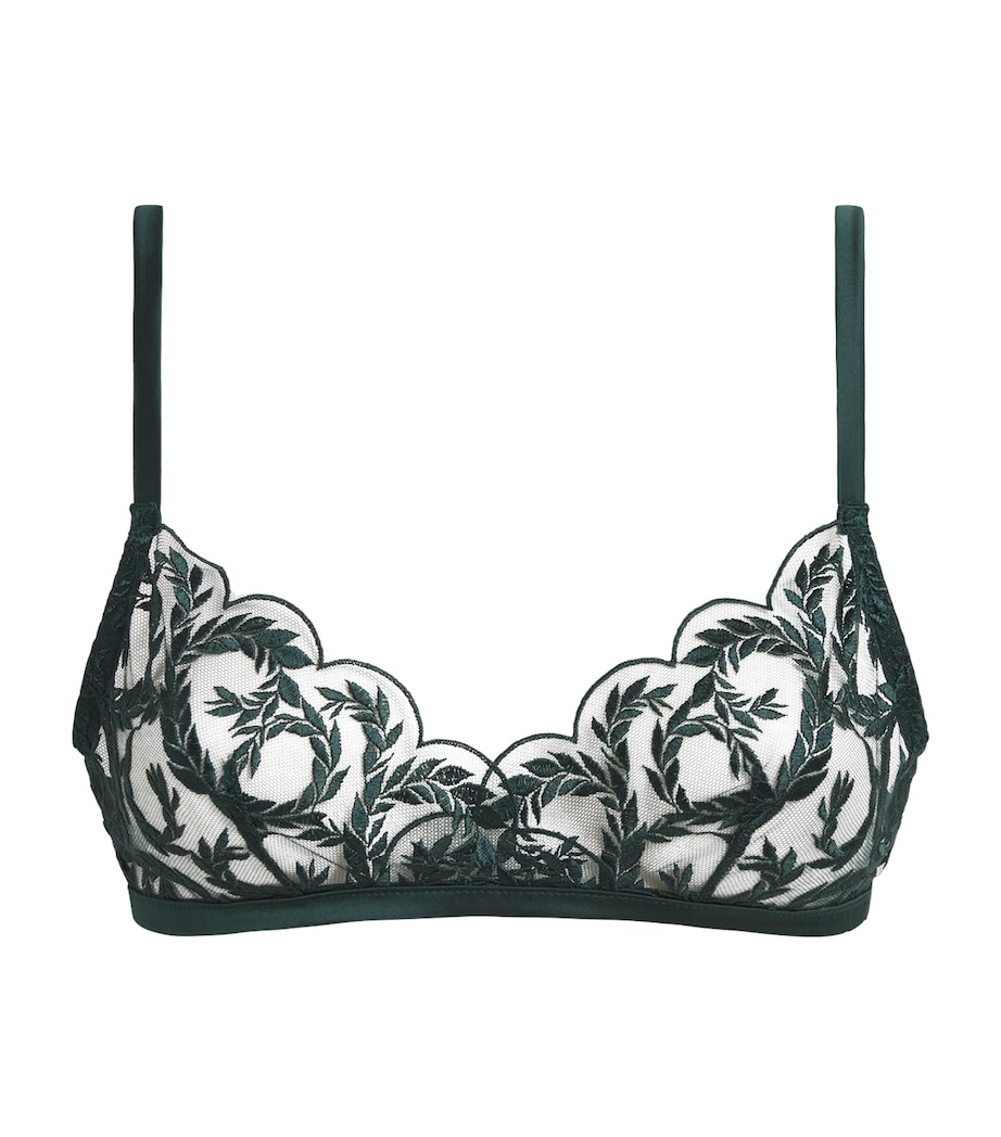 Coco De Mer Womens Lace Arletta Soft Bra Emerald Image 1