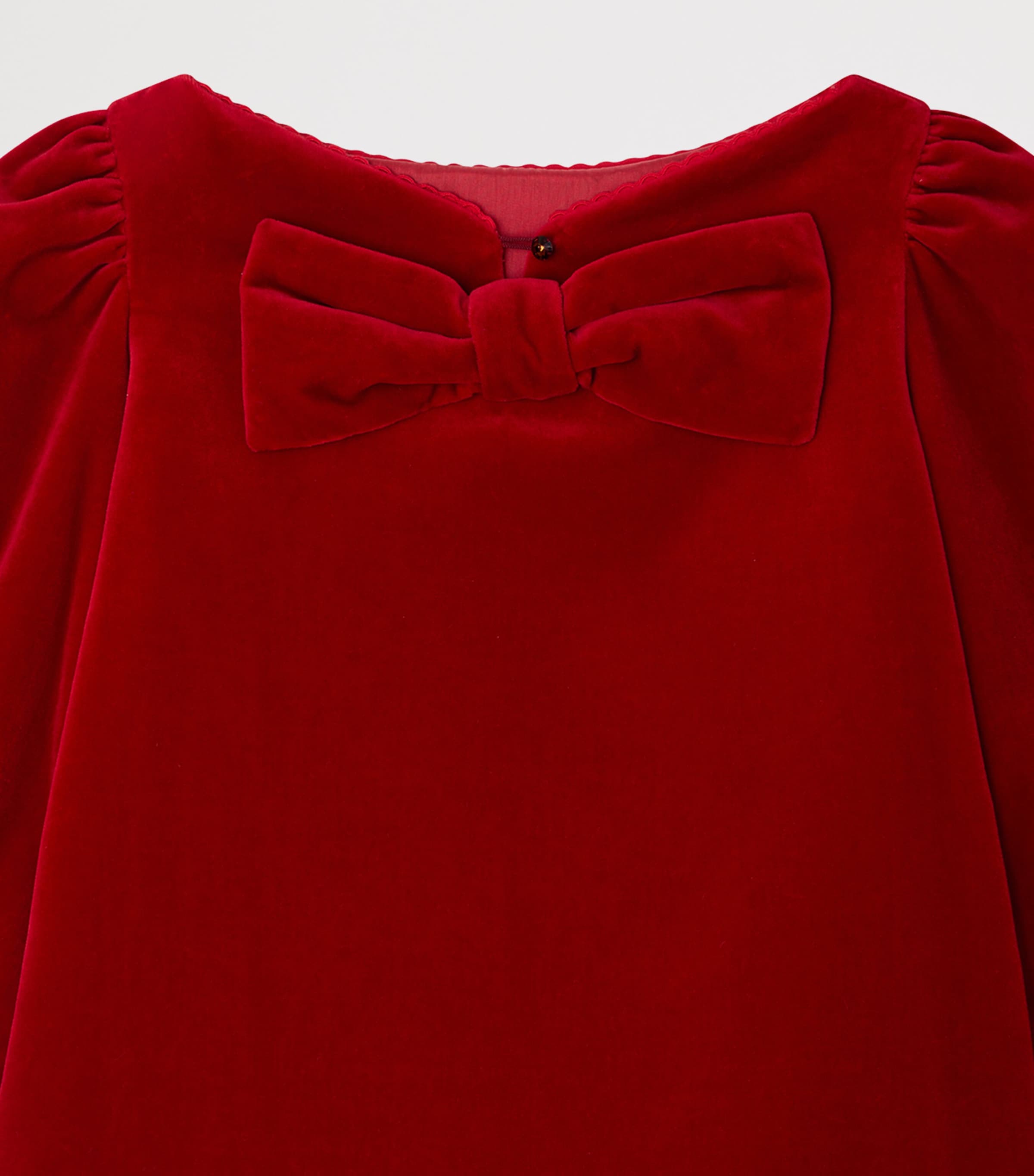 Velvet Jove Dress (4-8 Years) ROUGE Image 3