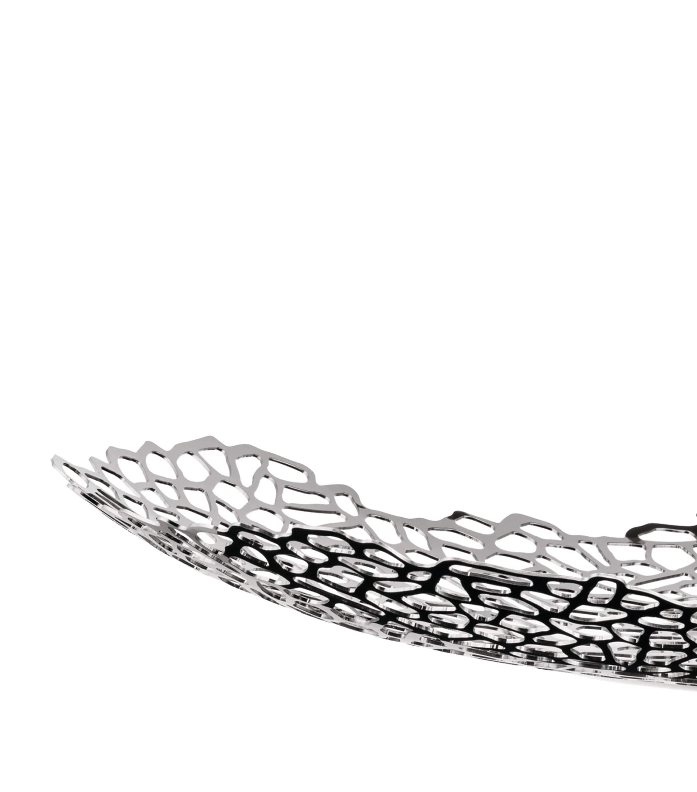 Opus Centrepiece MULTI Image 3