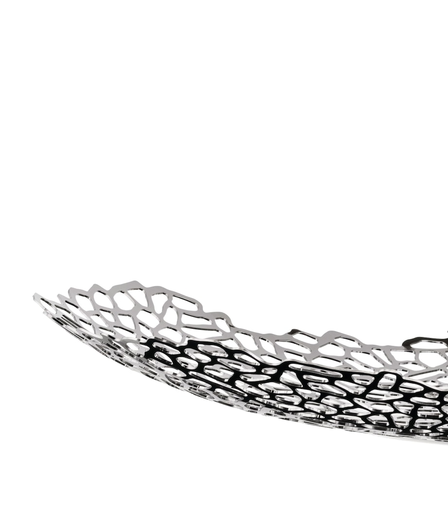 Opus Centrepiece MULTI Image 3