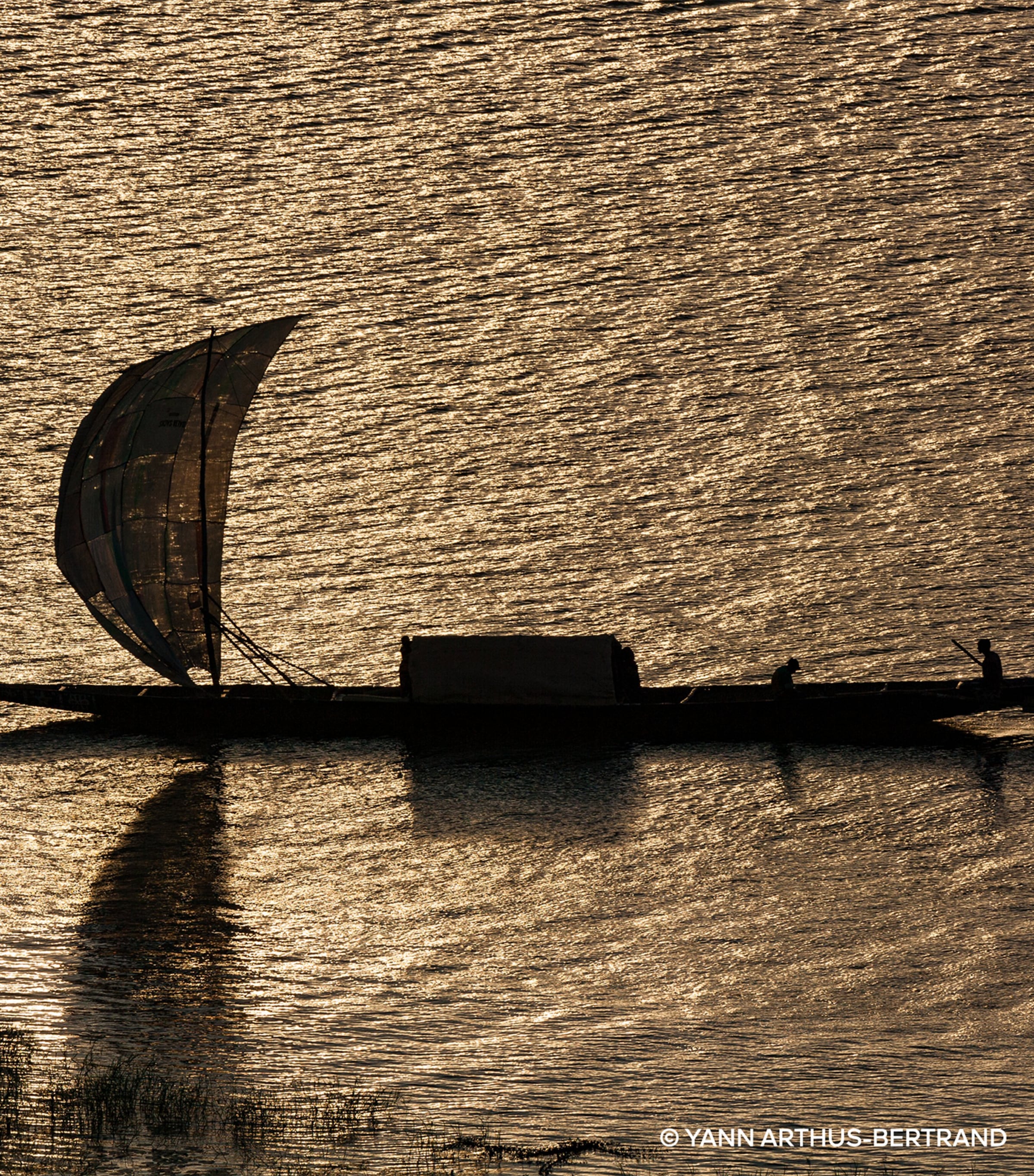 Absolus Allegoria Santal Royal Hair Mist (40ml) NO COLOUR Image 5