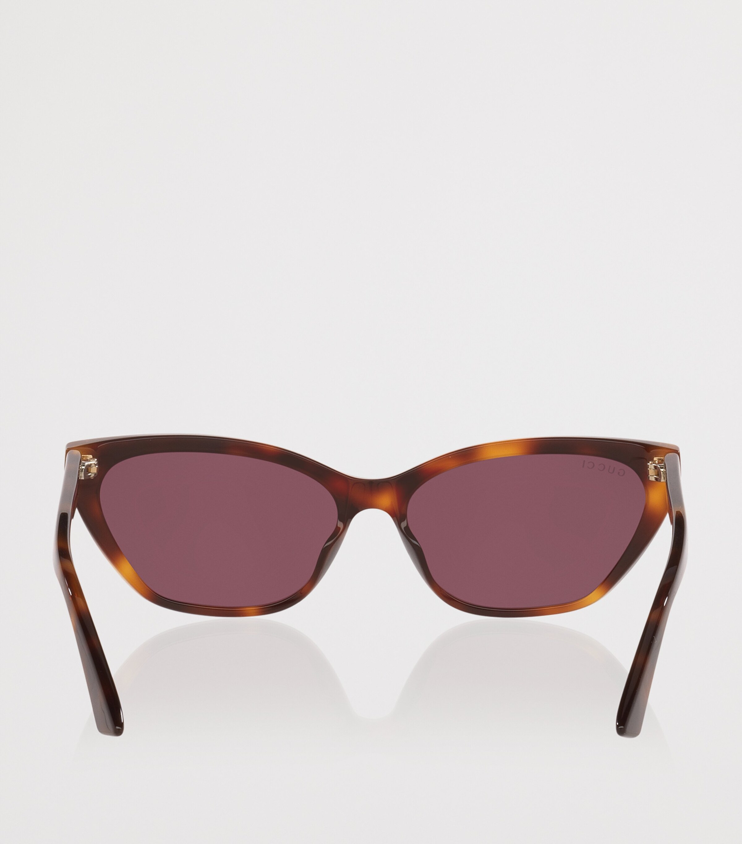 Acetate Cat Eye Sunglasses 4402B2 Image 4