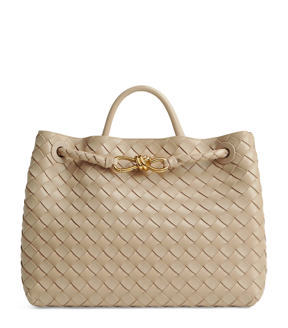 Bottega Veneta Medium Leather Andiamo Shoulder Bag Image 1