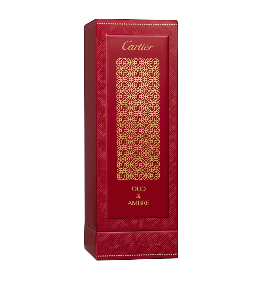 Les Heures Voyageuses Oud And Ambre Eau de Parfum (75ml) NO COLOUR Image 2