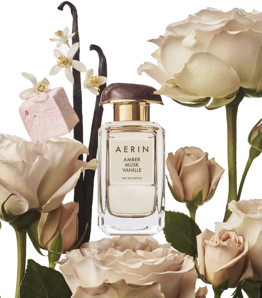 Amber Musk Vanille Eau de Parfum (50ml) NO COLOUR Image 3