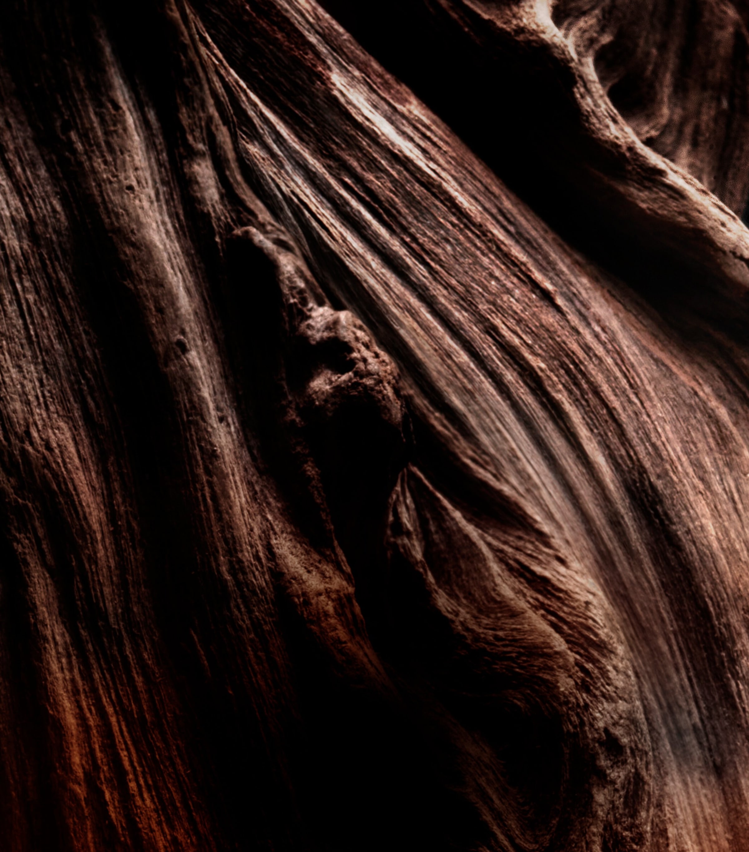 Absolus Allegoria Oud Essentiel Eau de Parfum (125ml) NO COLOUR Image 2