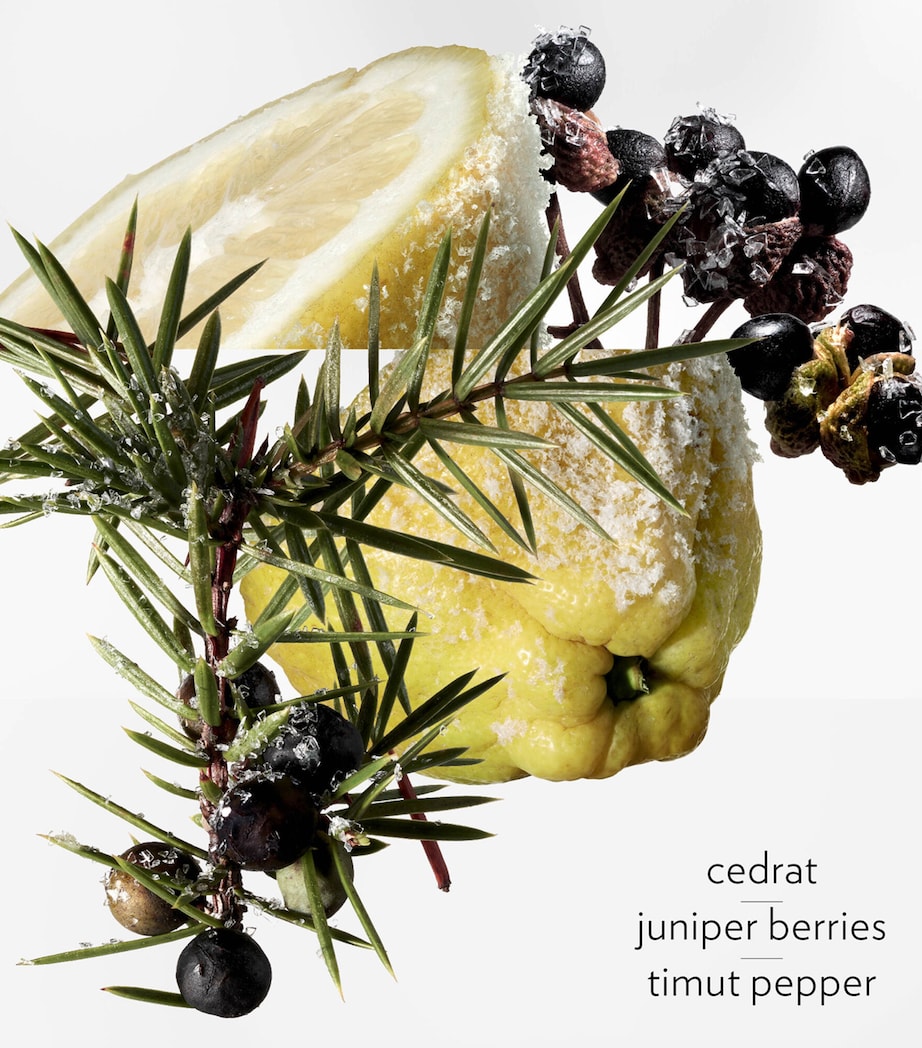 Terre d’Hermès Eau Givrée Eau de Parfum (100ml) NO COLOUR Image 4