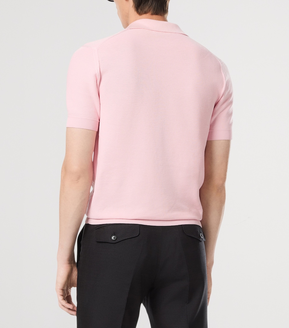 Silk-Cotton Polo Shirt PAV Image 3