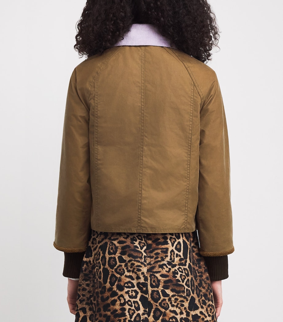 Waxed Cropped Beadnell Jacket SAND/DRESS/HEATHER M Image 4