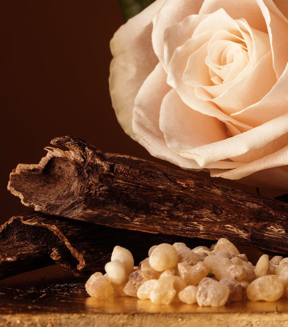 Taif Aoud Perfume (100ml) NO COLOUR Image 4