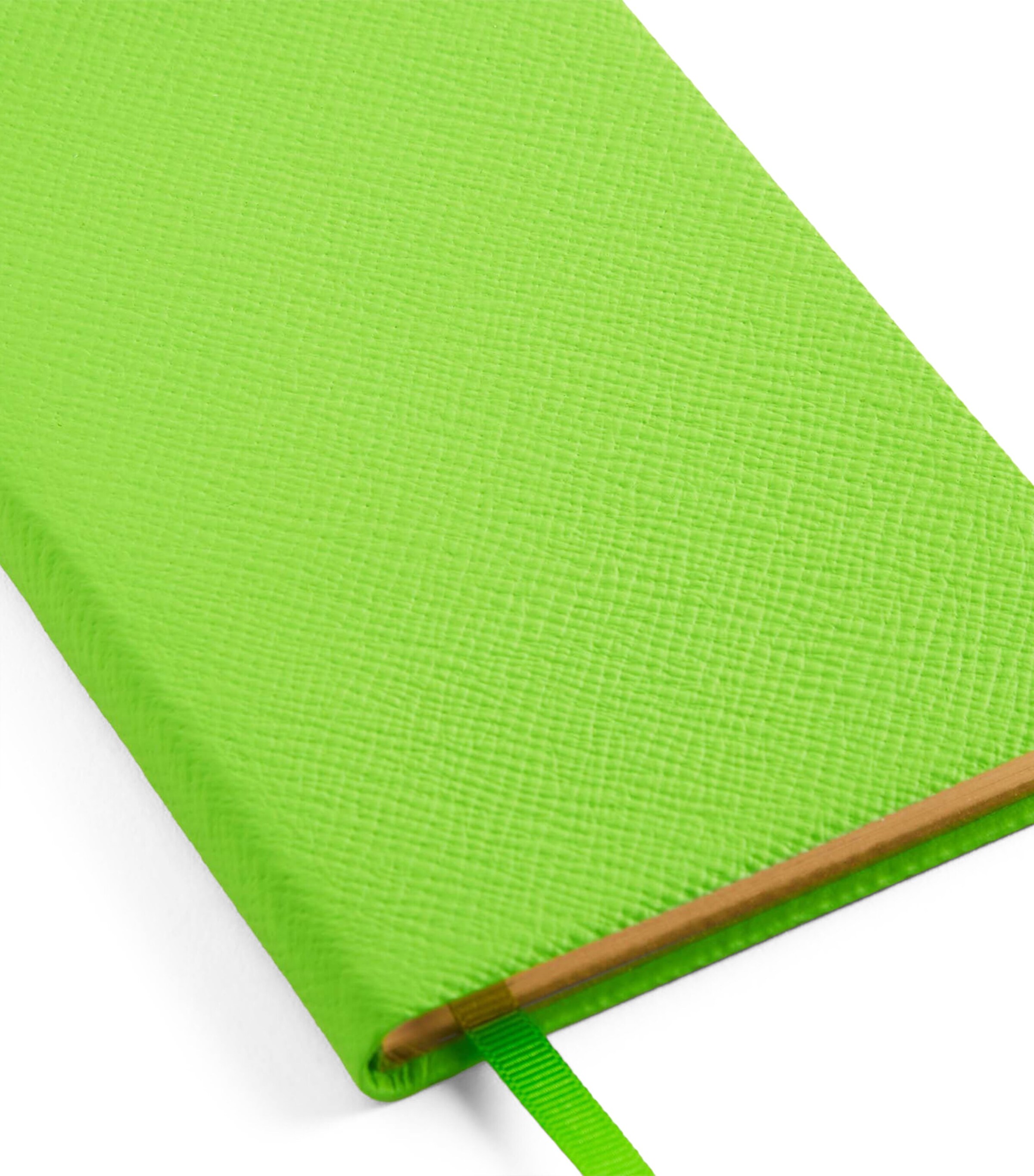Panama Leather Pocket Notebook APPLE GREEN Image 2